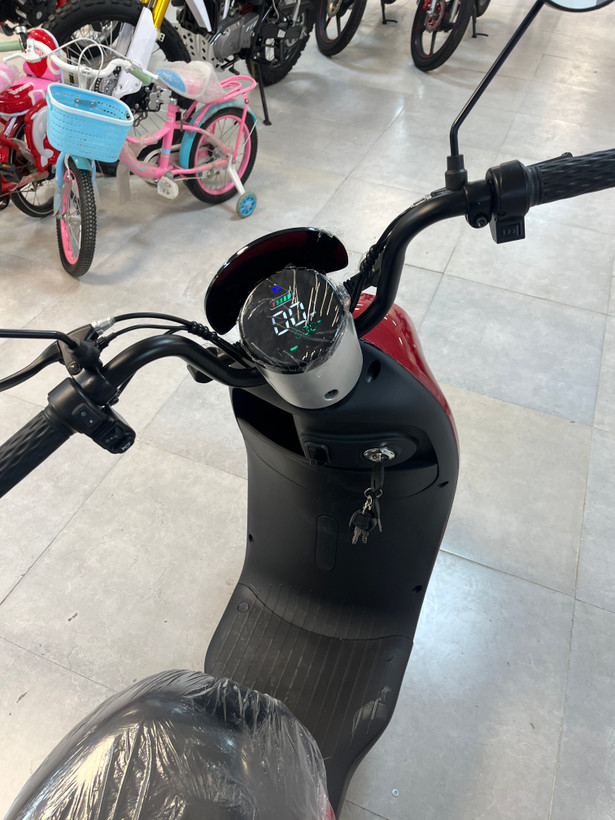 موتور برقی(پاکشتی برقی)
